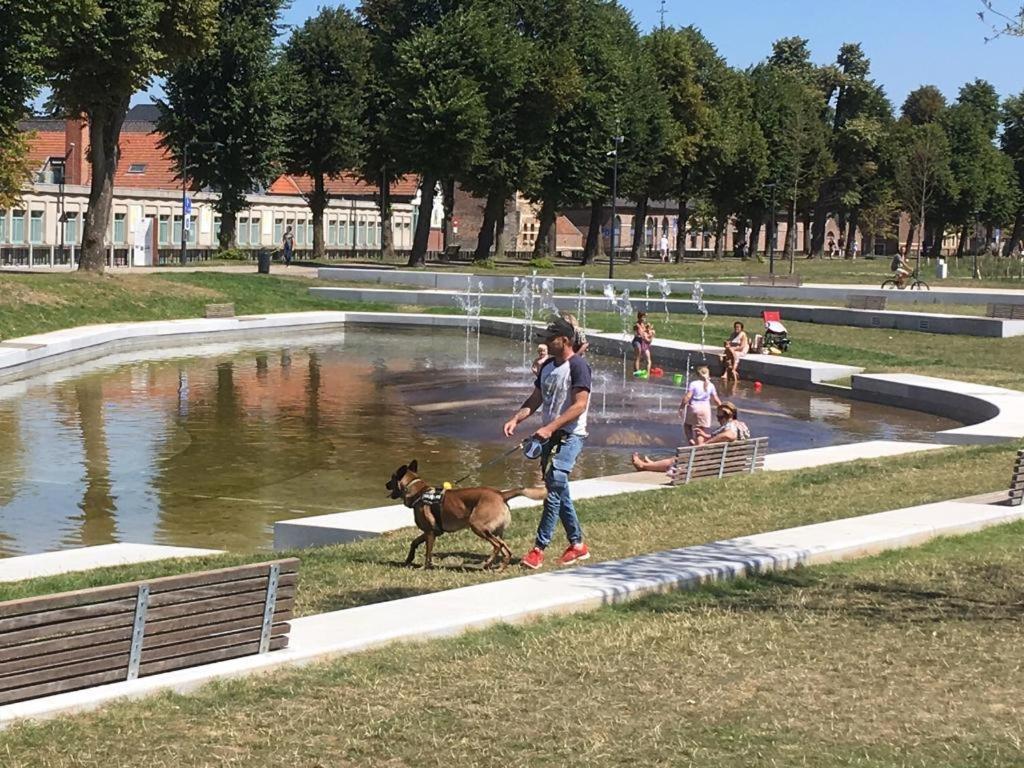 Villa Domus XIX Tongeren Esterno foto